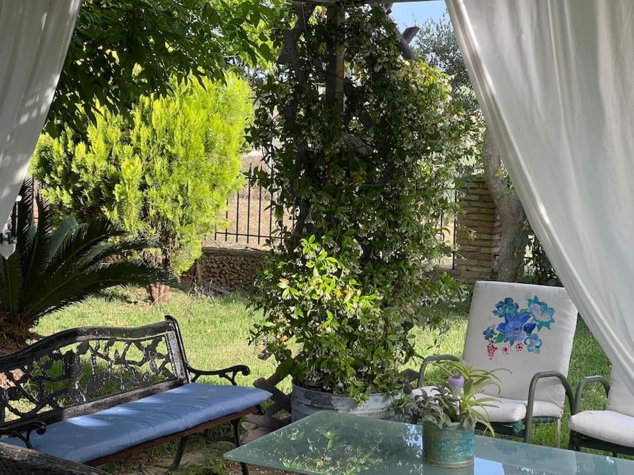 Mama'S Sunshine Garden Villa Agios Ilias  Esterno foto
