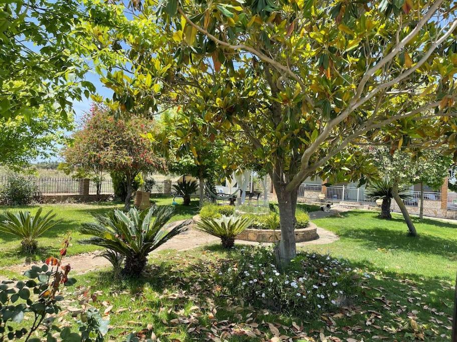 Mama'S Sunshine Garden Villa Agios Ilias  Esterno foto