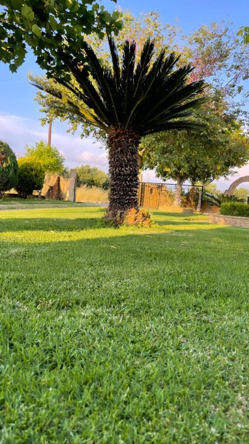 Mama'S Sunshine Garden Villa Agios Ilias  Esterno foto