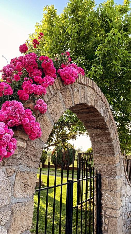 Mama'S Sunshine Garden Villa Agios Ilias  Esterno foto