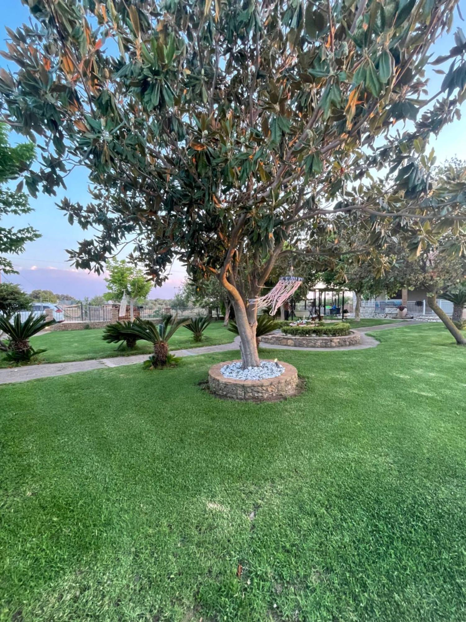 Mama'S Sunshine Garden Villa Agios Ilias  Esterno foto