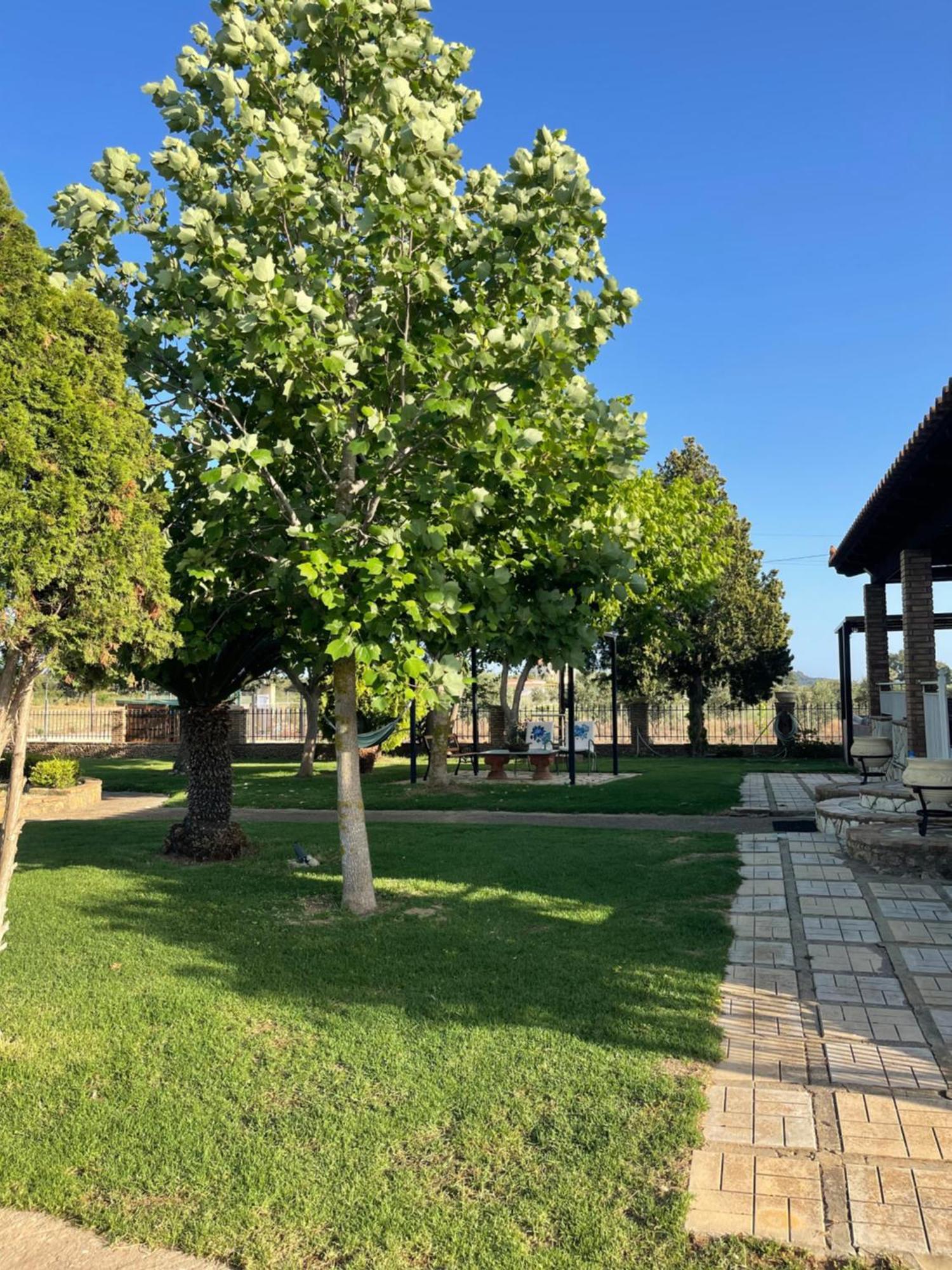 Mama'S Sunshine Garden Villa Agios Ilias  Esterno foto